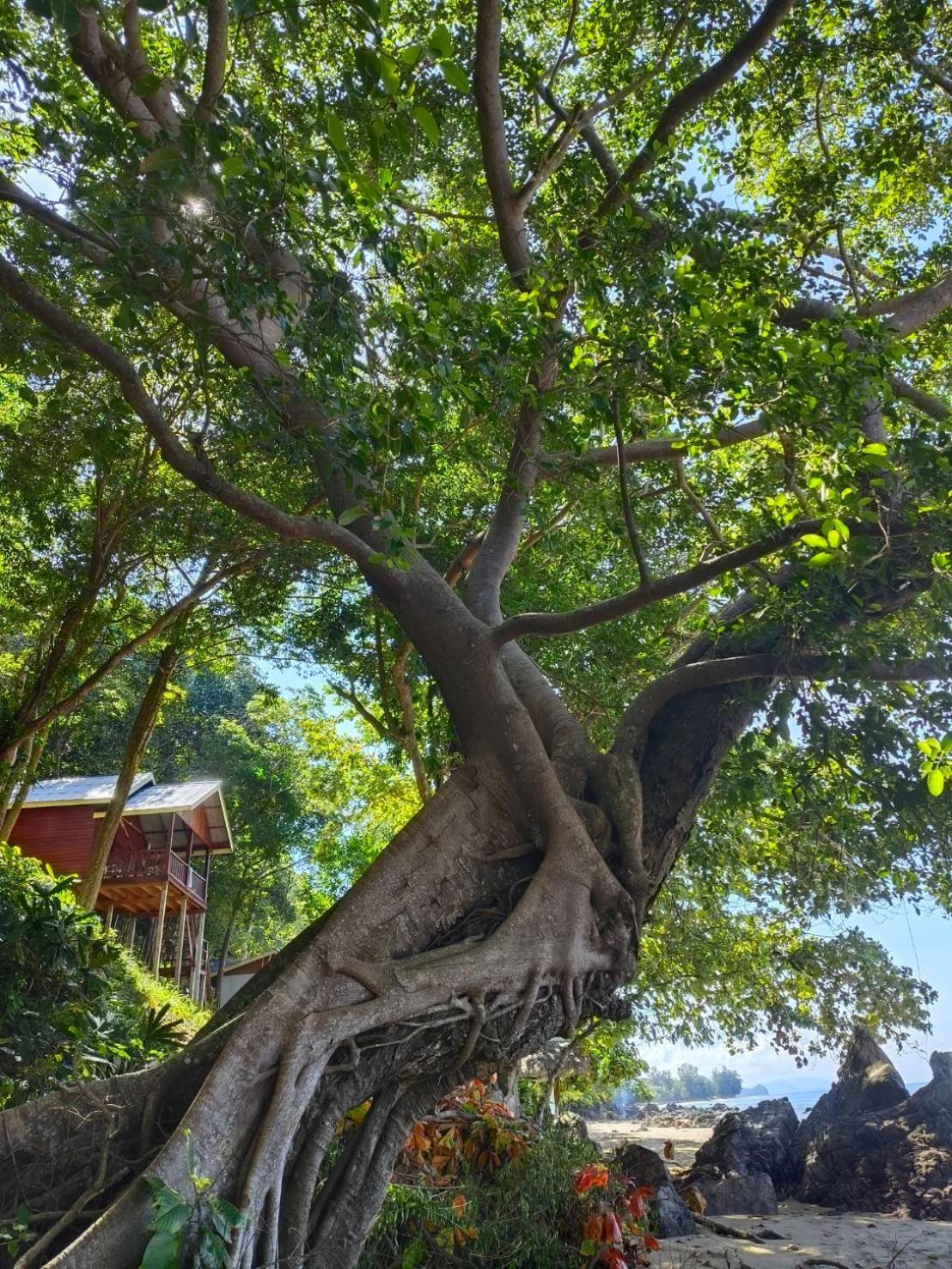 Kohjum Seafront Resort Koh Jum Zewnętrze zdjęcie